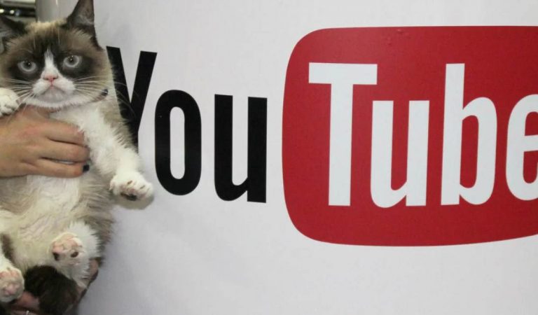 Как получать конверсии с видеорекламы в YouTube: инструкция + кейс Как получать конверсии с видеорекламы в YouTube: инструкция + кейс