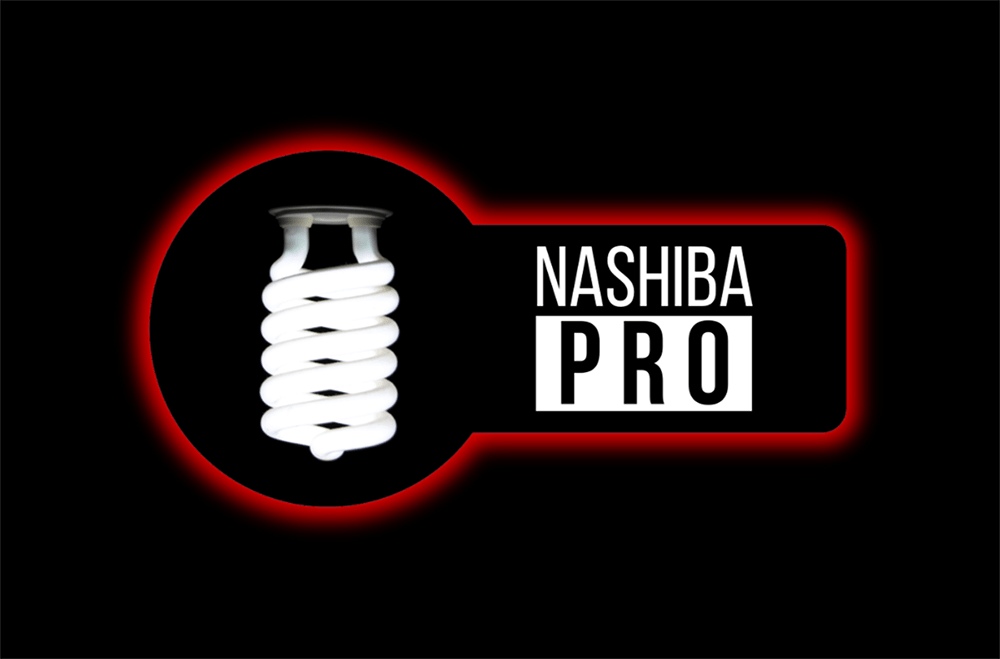 Nashiba.pro