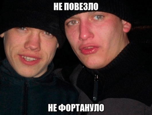 токены хомяка