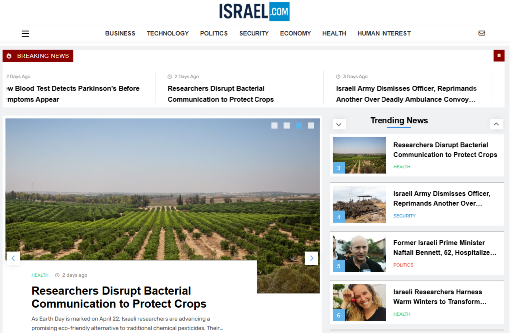 домен для новостей