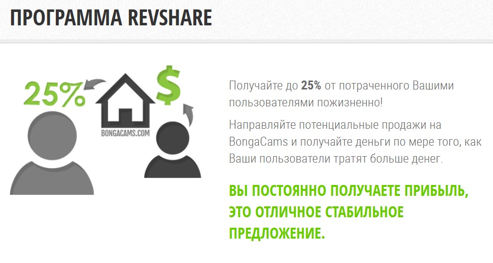 как заработать на BongaCash
