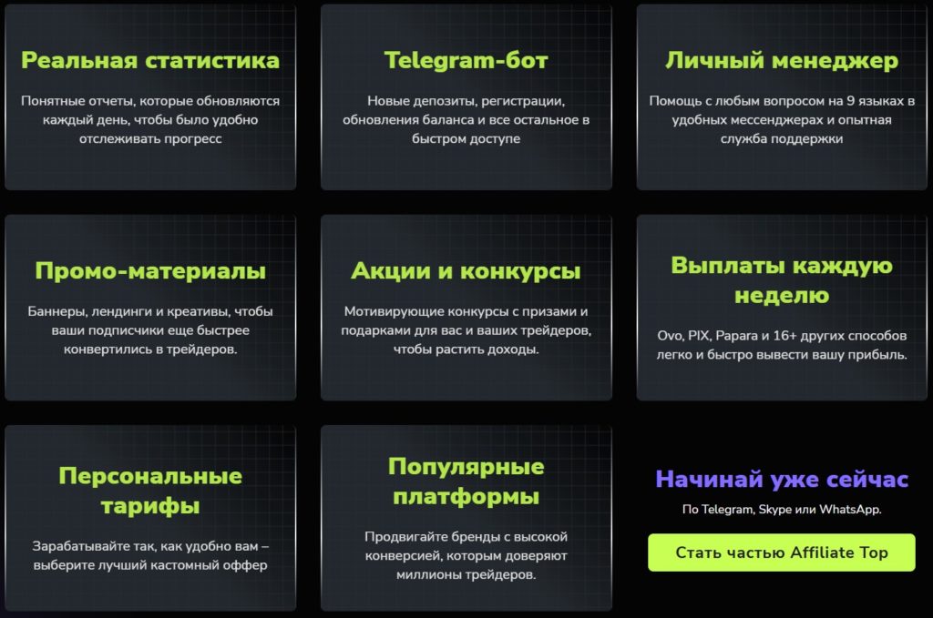 обзор Affiliate Top
