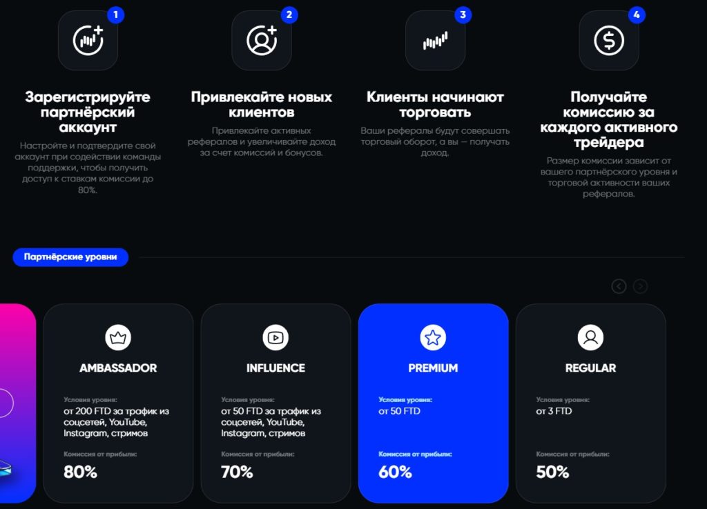 заработок на Pocket Partners