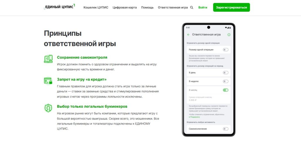 идентификация в цупис
