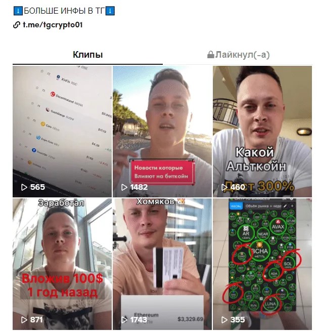 крипта в тиктоке