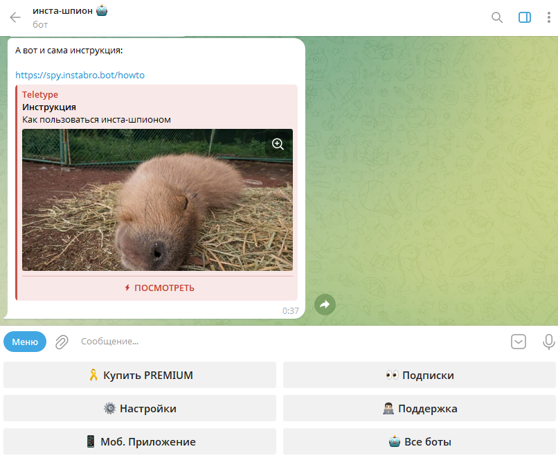 инструкция для бота для скачивания из инстаграм