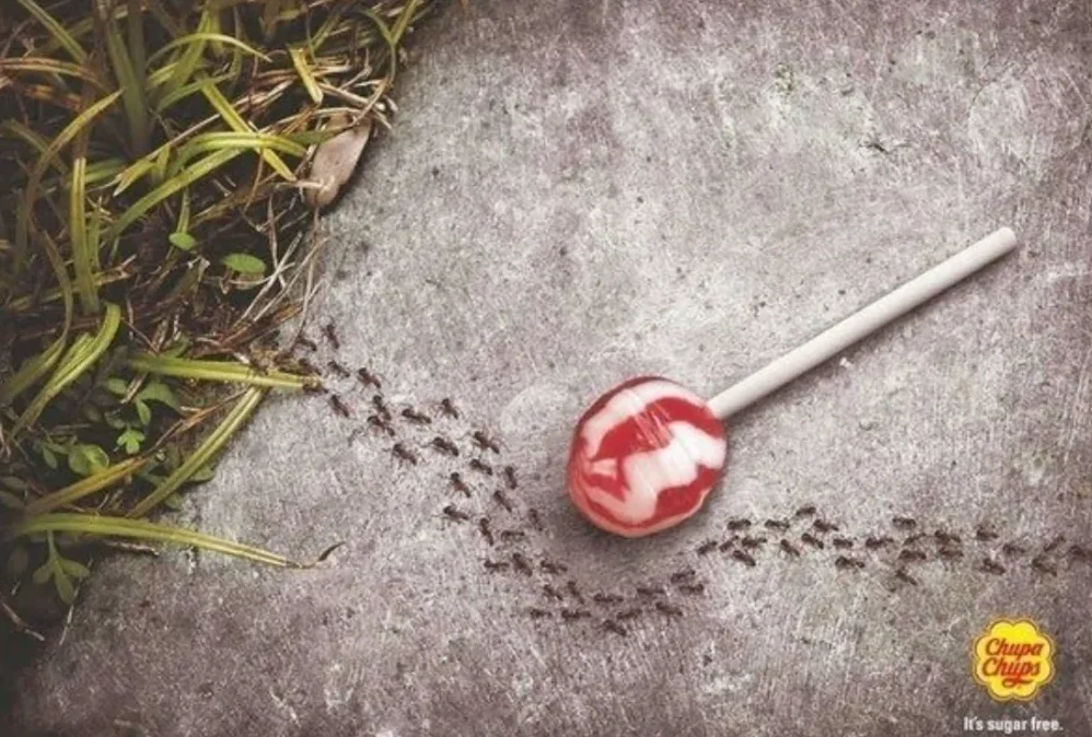 что такое крео