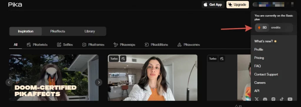 pika бесплатно