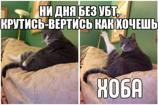 реальный бесплатный трафик